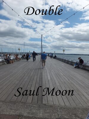 cover image of Double